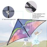 image for Colourful Kite